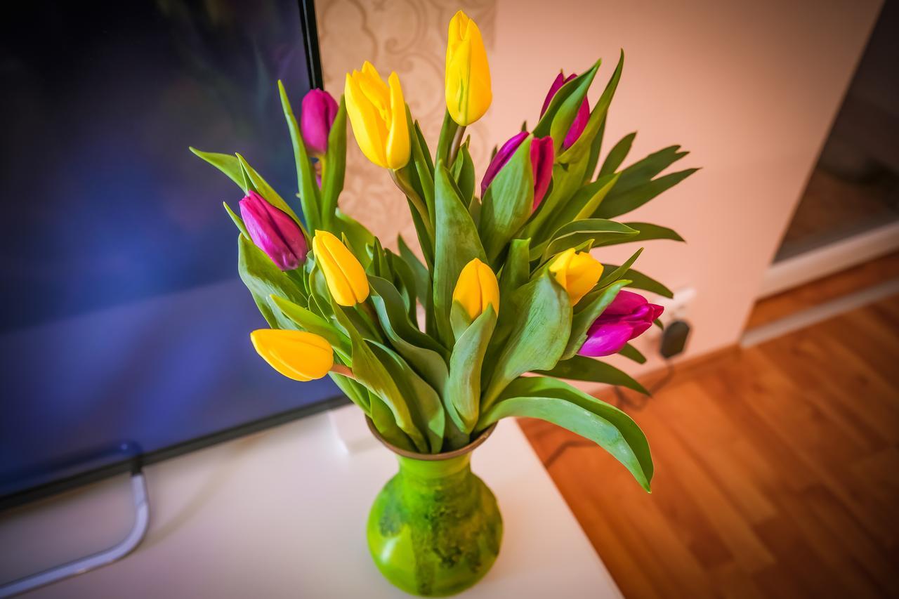 Mozaic Home Bukurešť Pokoj fotografie